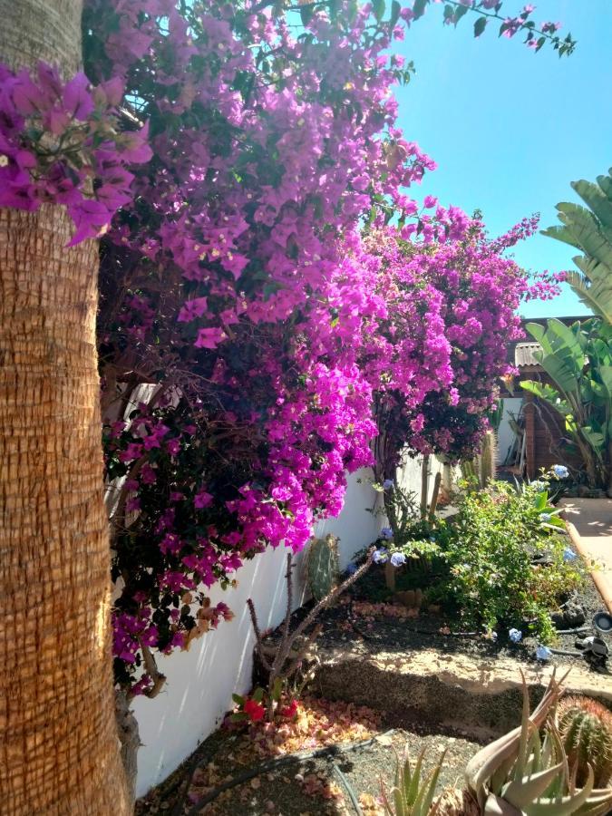 Villa Rosa Meravigliosa Con Piscina Interna Corralejo Exterior photo